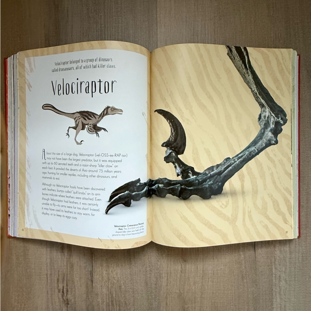 DK Anthology The Emporium of Wonders Bold Red Hardcover Children’s Book - Picture 5 of 9